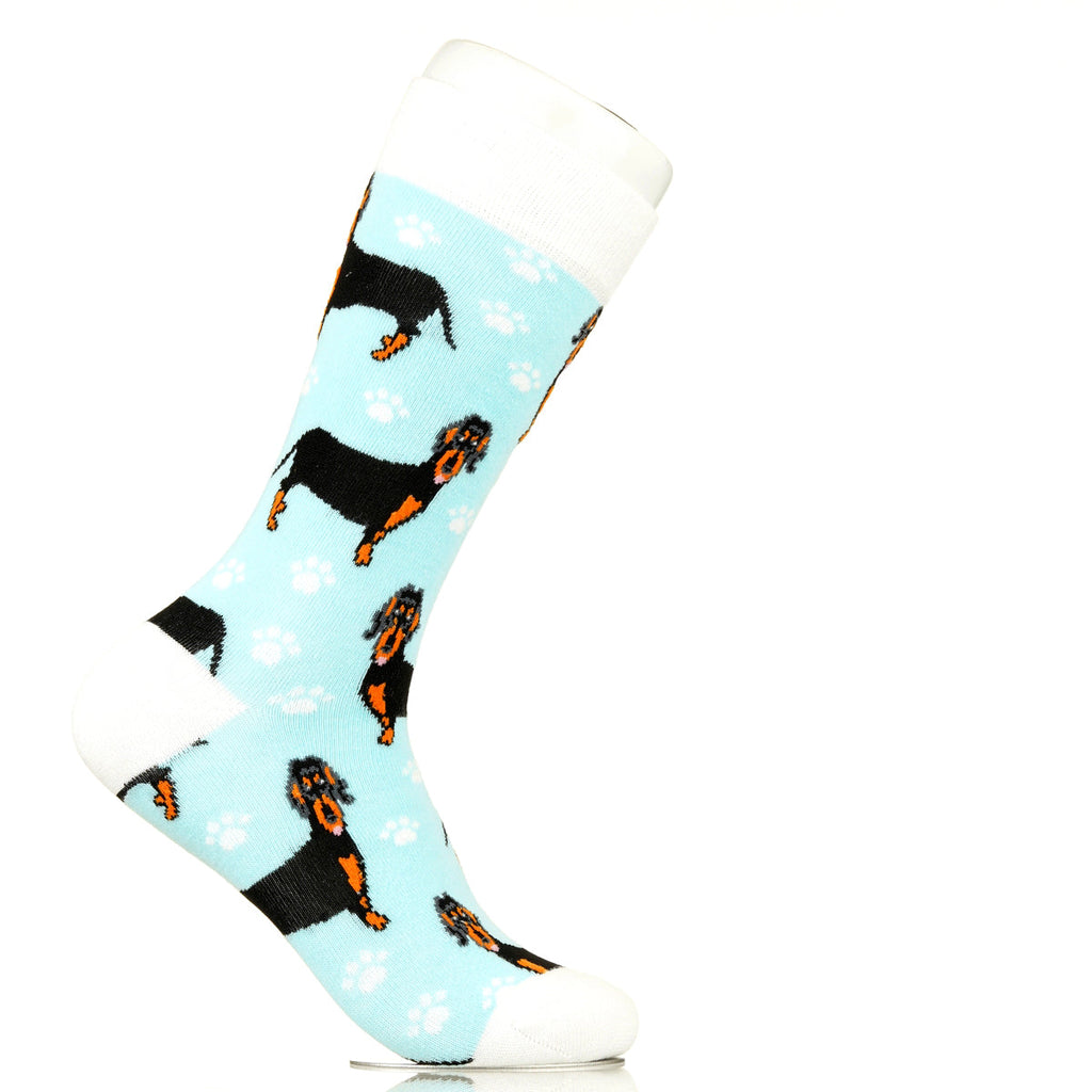 Dachshund | Plenty of Pups