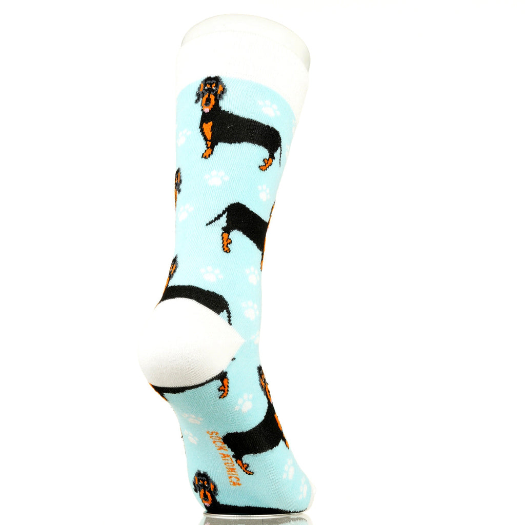 Dachshund | Plenty of Pups