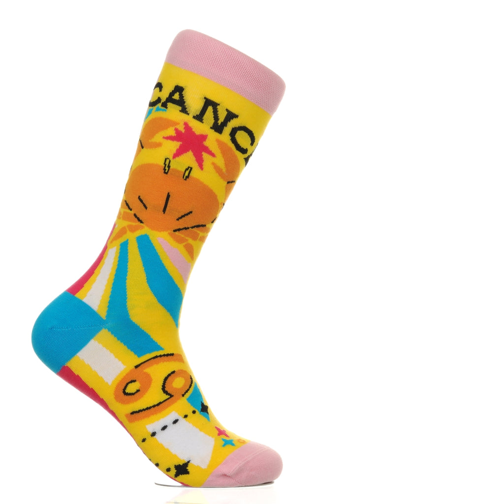 Zodiac Signs Cancer
