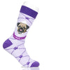 Pug | Argyle Pups